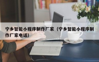鹿邑宁乡智能小程序制作厂家（宁乡智能小程序制作厂家电话）